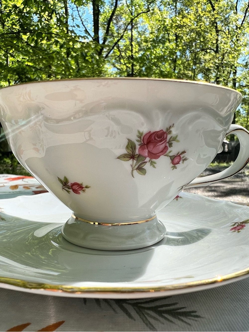 Bavaria Porcelain Tea Cup Saucer Set Floral Pink Rose Gold Trim Western Germany